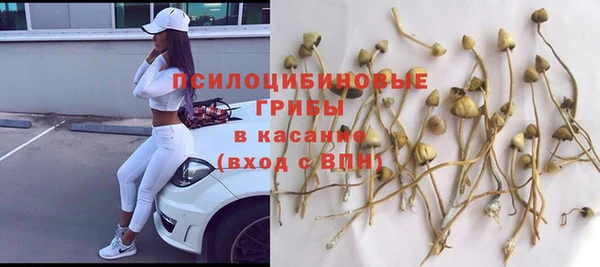 бутират Алзамай
